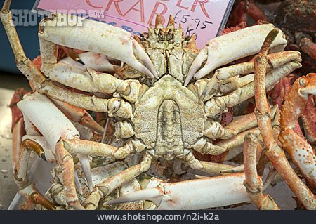 
                Krabbe, Fischmarkt, Marktstand                   