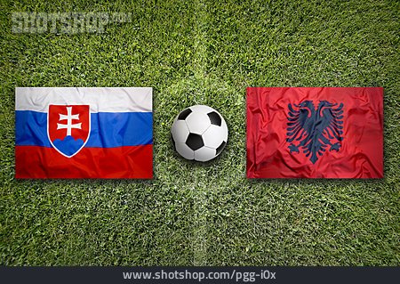 
                Fußball, Slowakei, Albanien                   