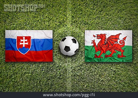 
                Fußball, Wales, Slowakei                   