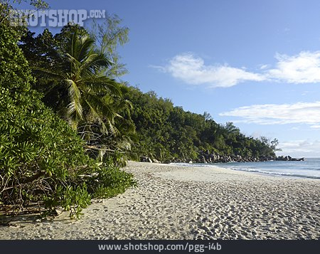 
                Strand, Bucht, Seychellen, Anse Georgette                   