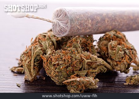 
                Joint, Cannabis, Marihuana                   