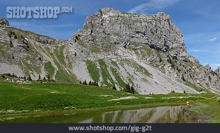 
                Schweiz, Bergmassiv, Rougemont                   