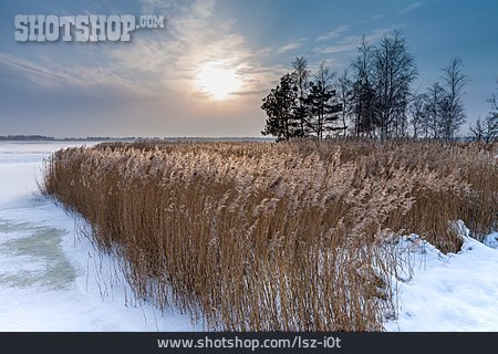 
                Winter, Norddeutschland, Mecklenburg-vorpommern                   