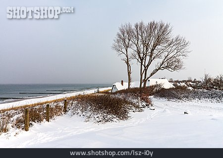 
                Winter, Ostseeküste, Ahrenshoop                   