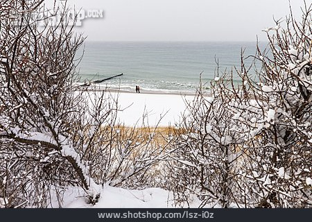 
                Winter, Baltic Sea Coast                   