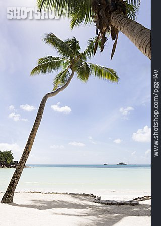 
                Strand, Seychellen, Traumstrand                   