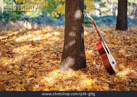 
                Herbst, Gitarre                   