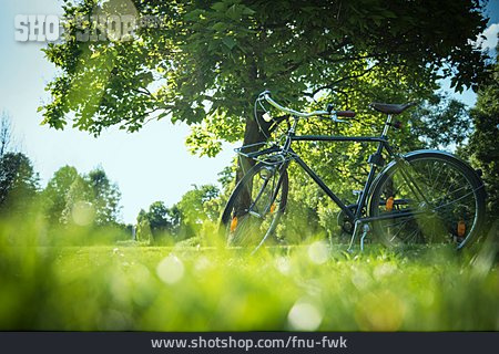 
                Park, Fahrrad, Ausflug                   