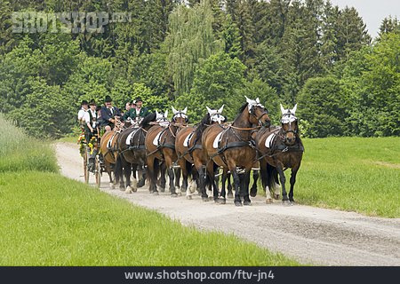 
                Pferdekutsche, Teisendorf, Holzhausen, Kaltblutfest                   