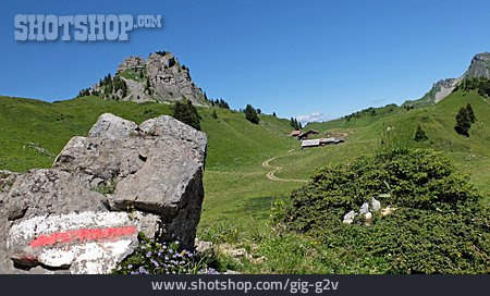 
                Schweizer Alpen, Schynige Platte                   
