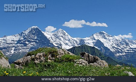 
                Berner Alpen                   