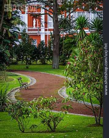 
                Parkanlage, Sao Miguel, Botanischer Garten, Jardim Jose Do Canto                   