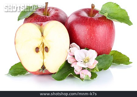 
                Apfelblüte, äpfel                   