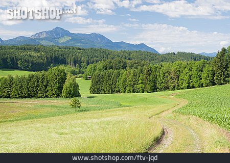 
                Chiemgau, Alpenlandschaft, Vachendorf                   