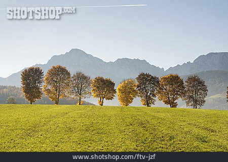 
                Bäume, Chiemgauer Alpen, Hochstaufen                   