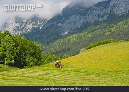 
                Landwirtschaft, Traktor, Landleben                   
