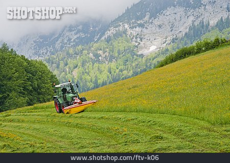 
                Landwirtschaft, Traktor, Landleben                   