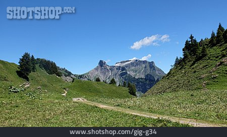 
                Berner Alpen, Schynige Platte                   