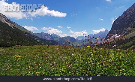 
                Tirol, Karwendel, Bergwiese                   