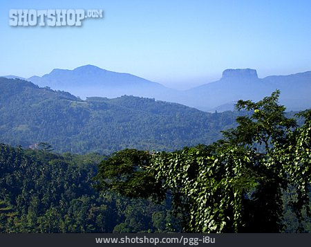 
                Hill, Sri Lanka, Adam's Peak                   