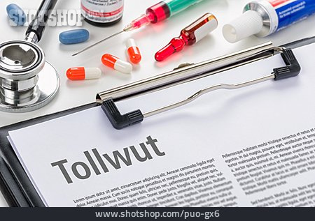 
                Diagnose, Tollwut                   