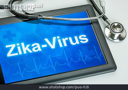 
                Virus, Zika, Zika-virus                   