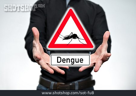 
                Fieber, Denguefieber                   