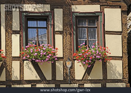 
                Fachwerkhaus, Blumenfenster, Blumendekoration                   