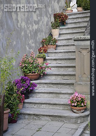 
                Treppe, Pittoresk, Blumentöpfe                   