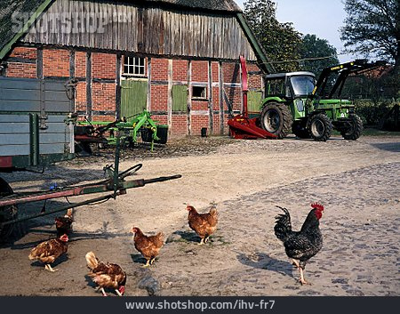 
                Hahn, Bauernhof, Freilandhaltung, Hühner, Bauernhaus                   