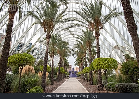 
                Botanischer Garten, Ciudad De Las Artes Y De Las Ciencias, L’umbracle                   