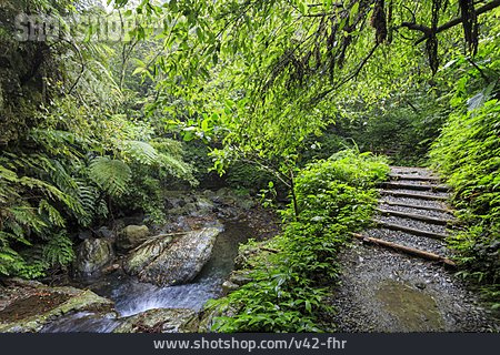 
                Wanderweg, Linmei Shipan Trail, Yilan                   