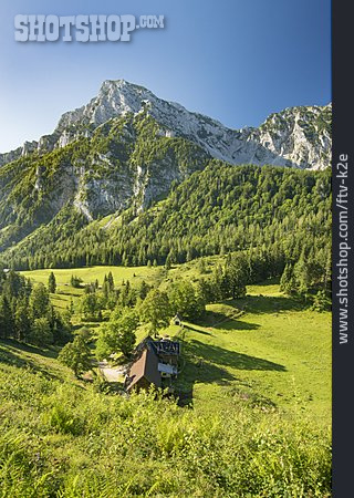 
                Alm, Berchtesgadener Land, Piding                   