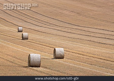 
                Landwirtschaft, Strohballen                   