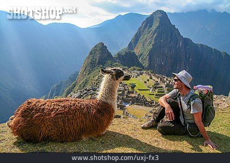 
                Mann, Anden, Lama, Peru                   