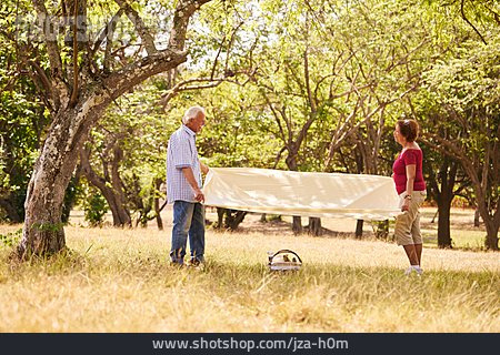 
                Picknick, Seniorenpaar                   