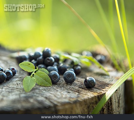 
                Blueberries                   