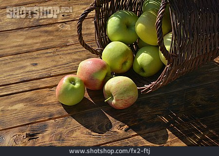 
                Apfel, Ernte, Holzboden                   