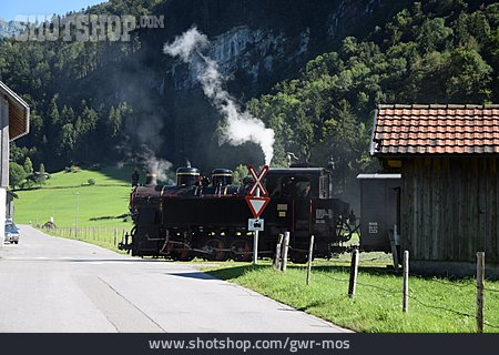 
                Dampflokomotive, Schmalspurbahn, Bregenzerwaldbahn                   