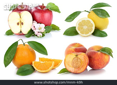
                Früchte, Zitrusfrüchte, Collage                   