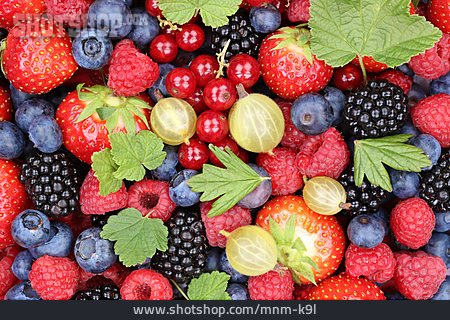 
                Früchte, Beeren, Stachelbeeren                   