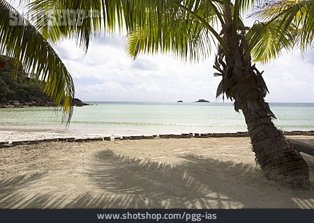 
                Strand, Bucht, Seychellen                   