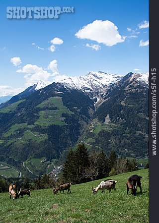 
                Südtirol, Passeier, Passeiertal                   