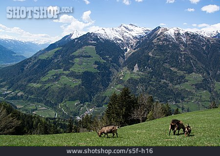 
                Südtirol, Passeier, Passeiertal                   