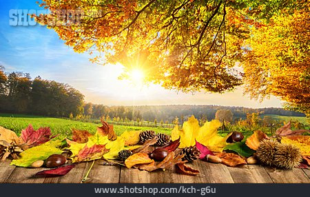 
                Herbst, Herbstlaub, Herbststimmung, Herbstlandschaft                   