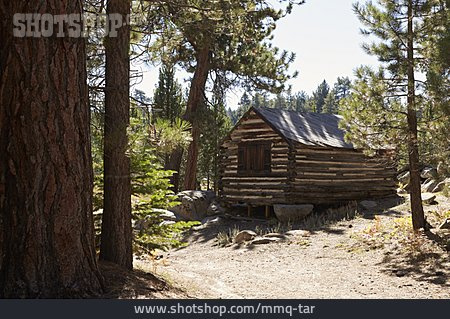 
                Isolation & Einsamkeit, Ferienhaus, Waldhütte                   