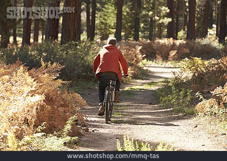 
                Waldweg, Herbstlich, Radfahren                   