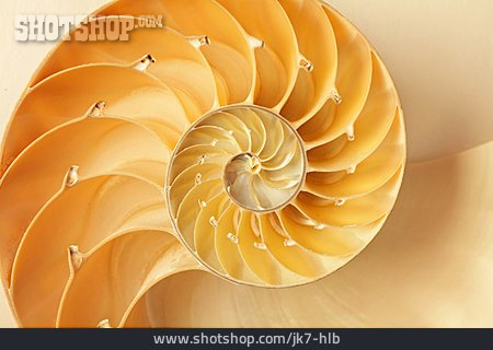 
                Schnecke, Spirale, Spiralförmig, Schneckenform                   