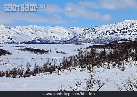 
                Winterlandschaft, Norwegen, Fjell, Telemark                   