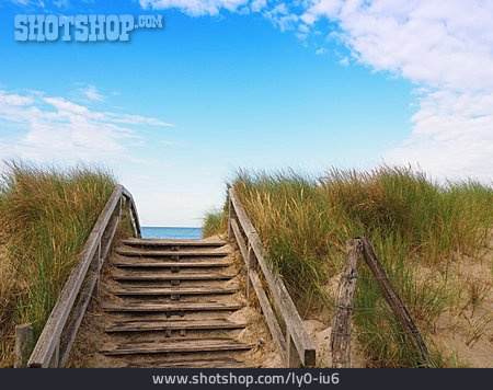
                Treppe, Küstenlandschaft, Strandzugang                   